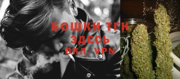 ПСИЛОЦИБИНОВЫЕ ГРИБЫ Абаза