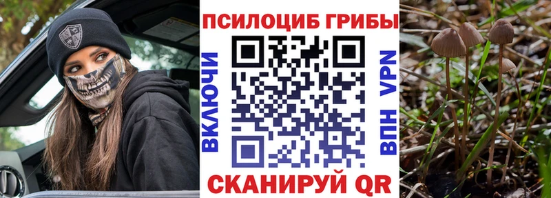 Галлюциногенные грибы Psilocybe  Чулым 
