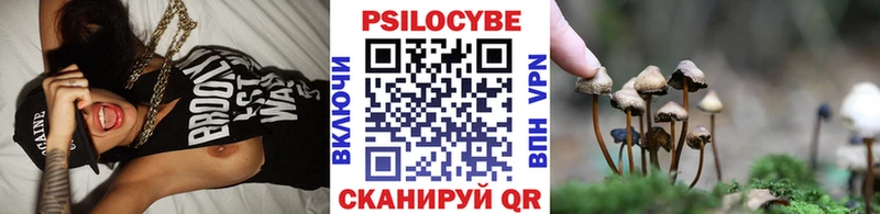 Галлюциногенные грибы Psilocybine cubensis Чулым